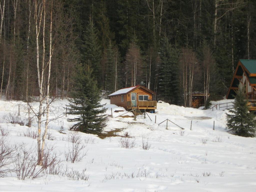 Hôtel Bear Corner Adventures Bed & Bale à Golden Extérieur photo